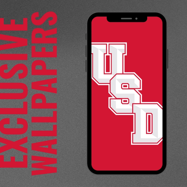 August 2025 Wallpaper 1 (stitched USD)