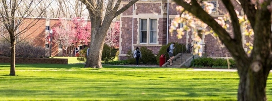 Trees on campus in front of Old Main