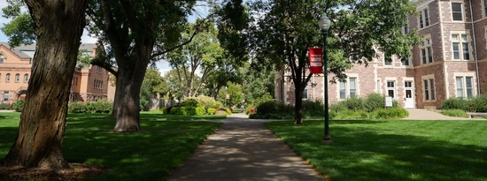 Trees in front of Old Main