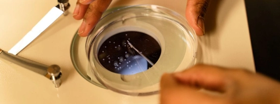 Hands on science experiment