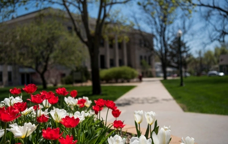Spring Flowers on the campus of the University of South Dakota, established in 1862, in Vermillion, SD. www.usd.edu